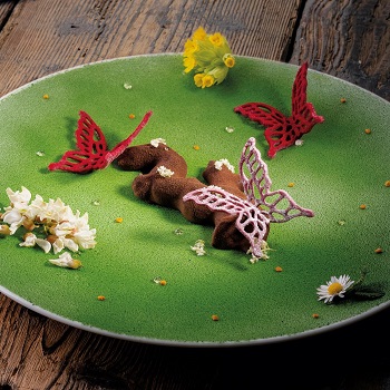 Pavoni Butterfly/Mariposa L Professional Silicon Mould - 300mm x 200mm